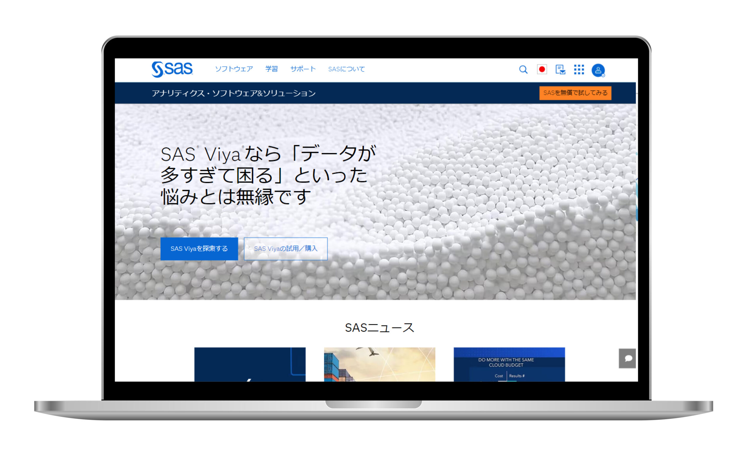 SAS Institute Japan
