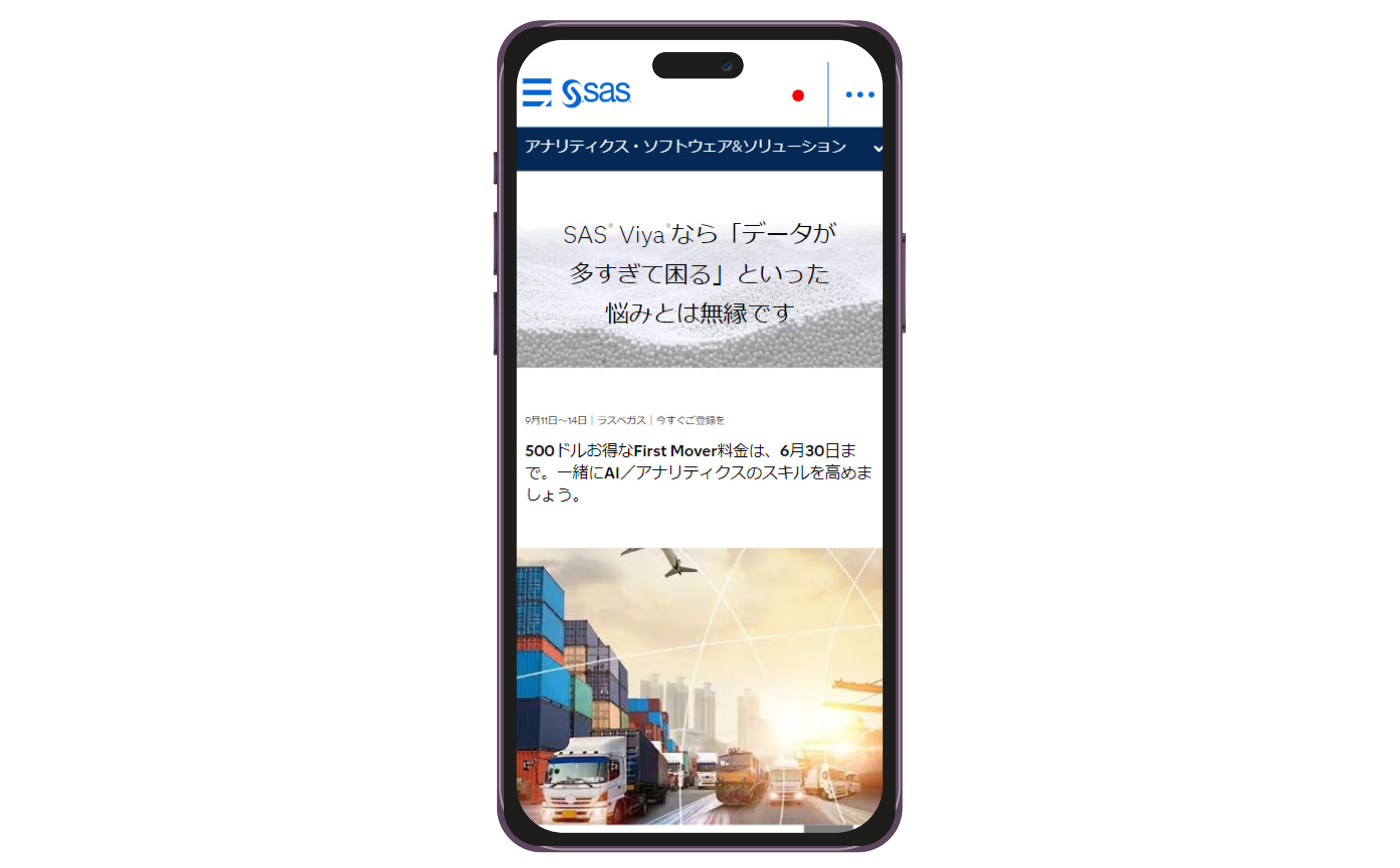 SAS Institute Japan